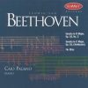 Beethoven Piano Music - Caio Pagano