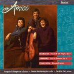 Amici – Amici Chamber Ensemble