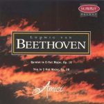 Beethoven – Amici Chamber Ensemble
