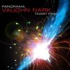 Panorama - Vaughn Nark