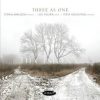 Decisions - Three As One