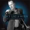 Voice Like A Horn - Pete McGuinness