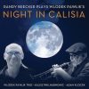 Night in Calisia - Randy Brecker and the Wlodek Pawlik Trio