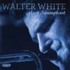 Most Triumphant - Walter White