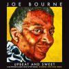 Upbeat and Sweet - Joe Bourne